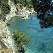 Bild Côte d'Azur - Nizza Nr. 2