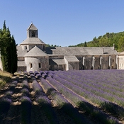 Bild Avignon und Provence Nr. 2