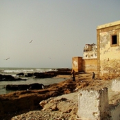 Bild Marrakesch-Essaouira Nr. 4