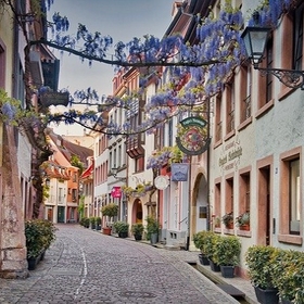 Bild Freiburg Nr. 1