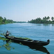 Bild Kerala, von Kochi nach Kovalam Nr. 4
