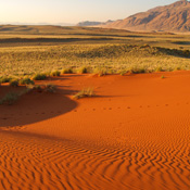 Bild Namibia Nr. 3