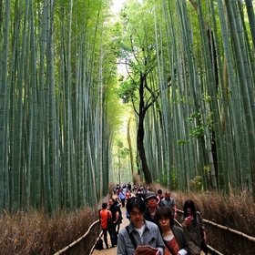 Bild Tokio-Kyoto Nr. 6