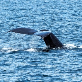 Bild British Columbia: Vancouver Nr. 8